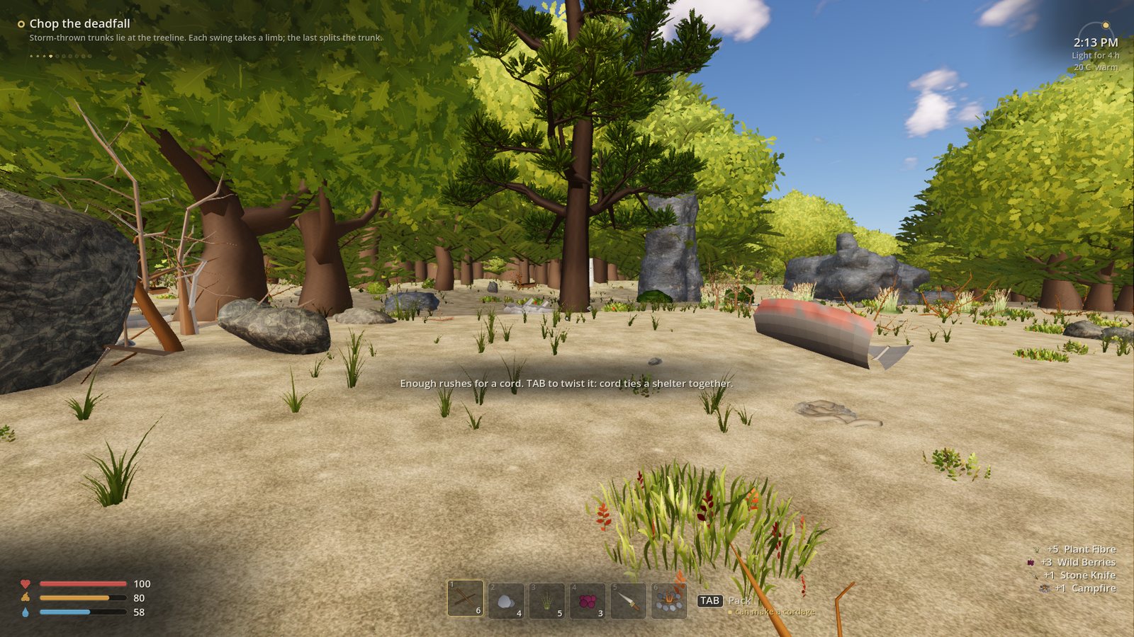 First-person view on the beach with health, hunger, thirst, the hotbar, the clock and the current goal