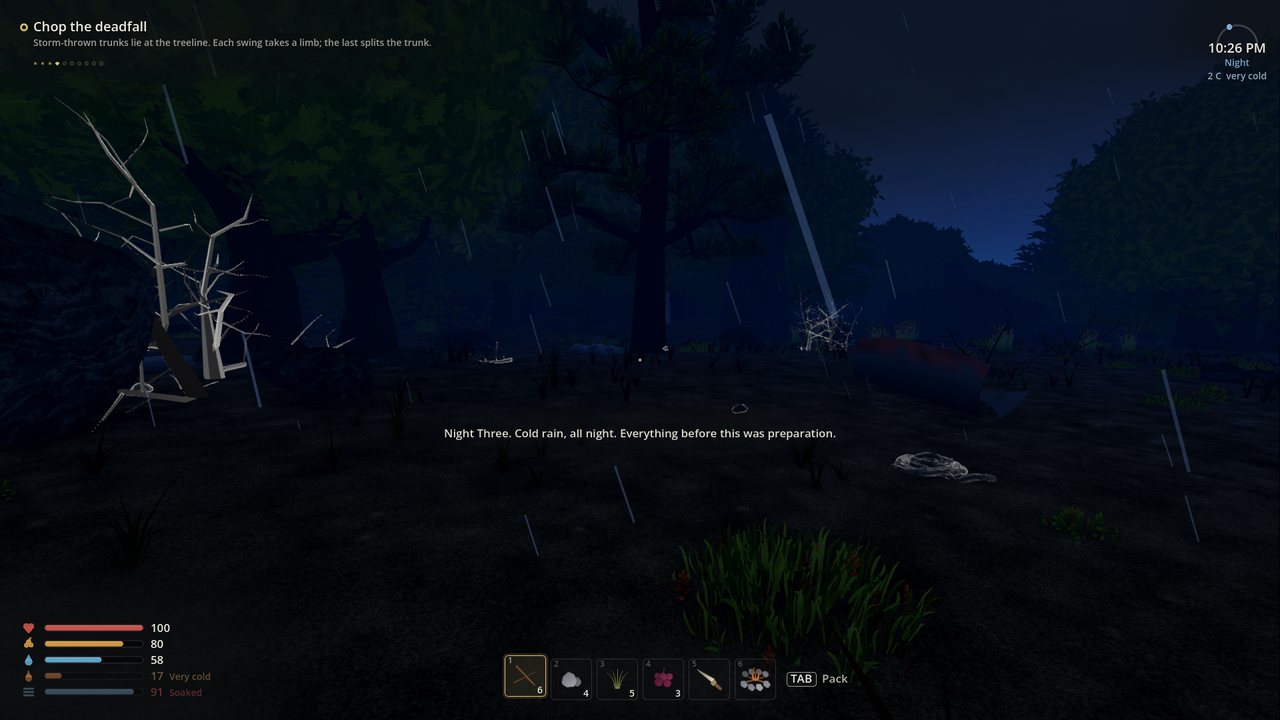 A dark forest at night in heavy rain with cold and wet warnings on screen