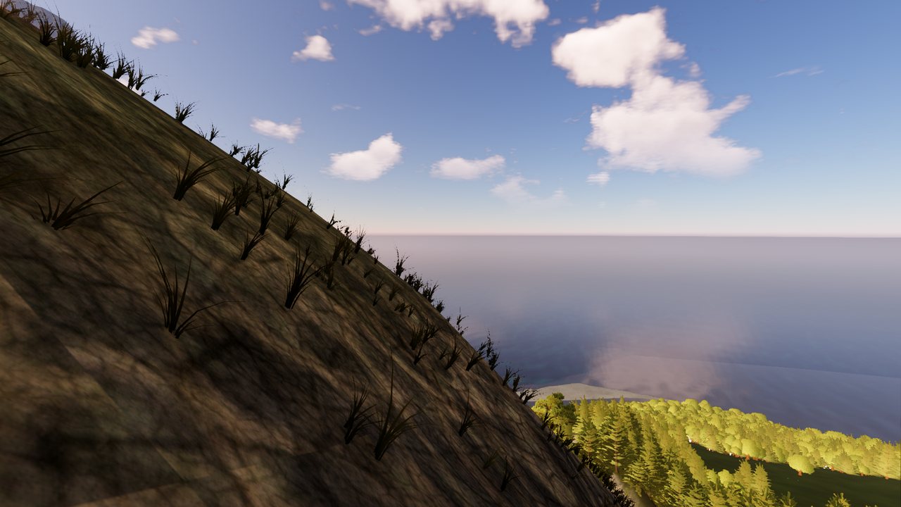 The ocean seen from a hillside above the forest
