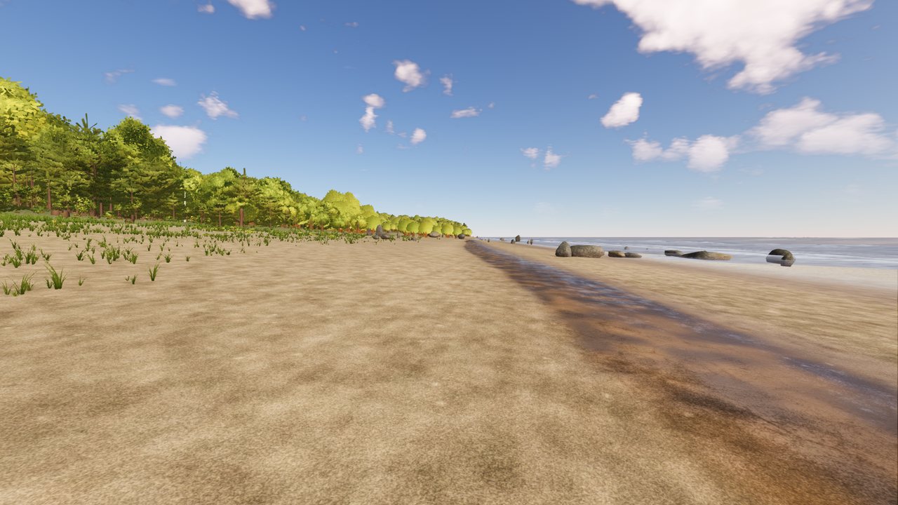 A long sandy beach with waves washing up and a forest behind it